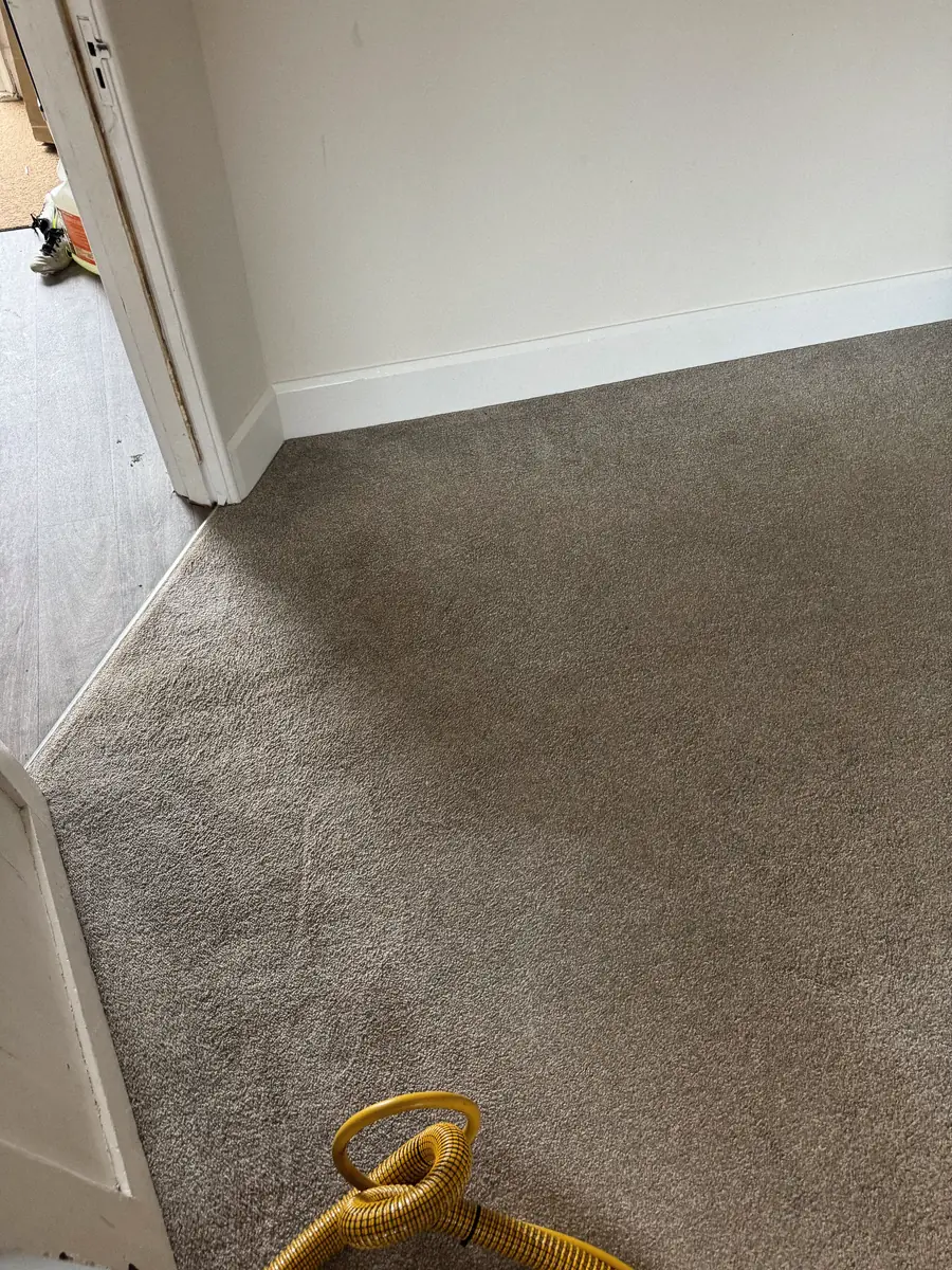 The same doorway carpet after a FIBRE & CO. hot water extraction clean
