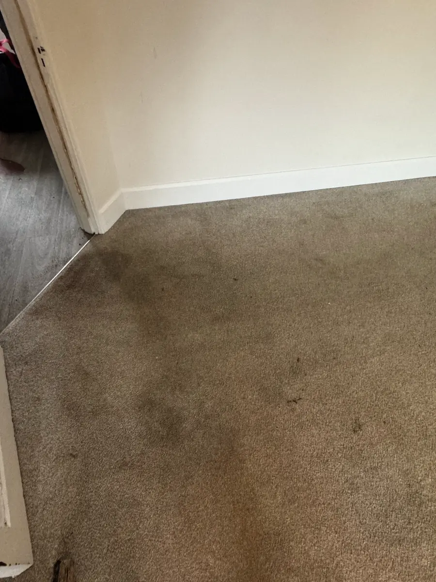 Carpet in a bedroom doorway with heavy traffic soiling, before a FIBRE & CO. clean