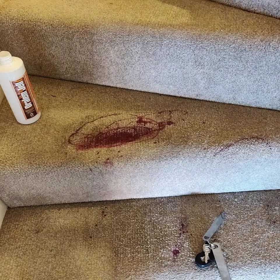 Beige stair carpet with heavy red staining, before a FIBRE & CO. clean